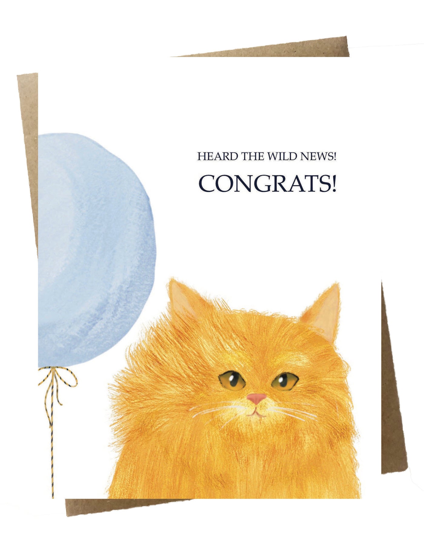 Wild News Congrats Kitty