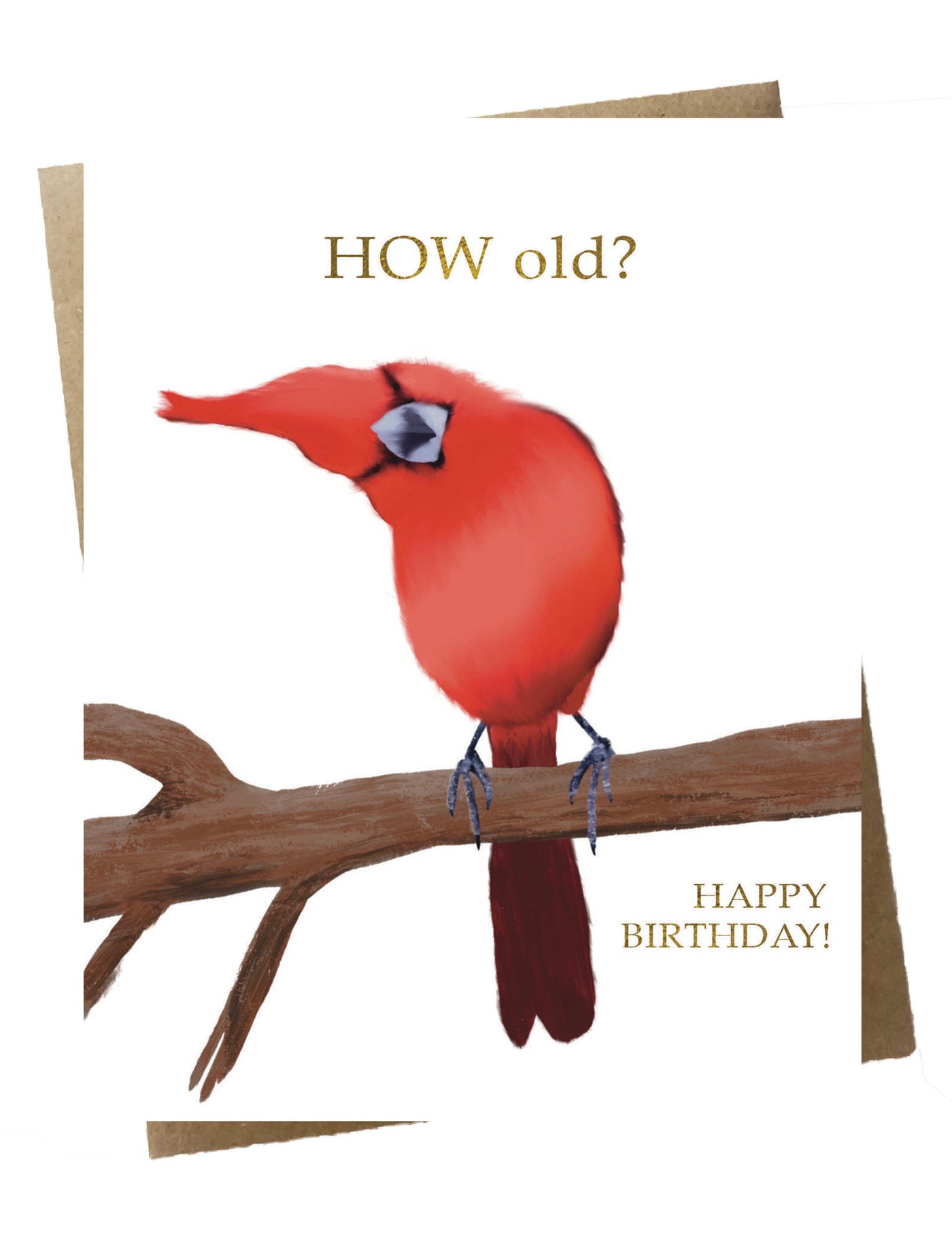 Cute Cardinal Birthday Card