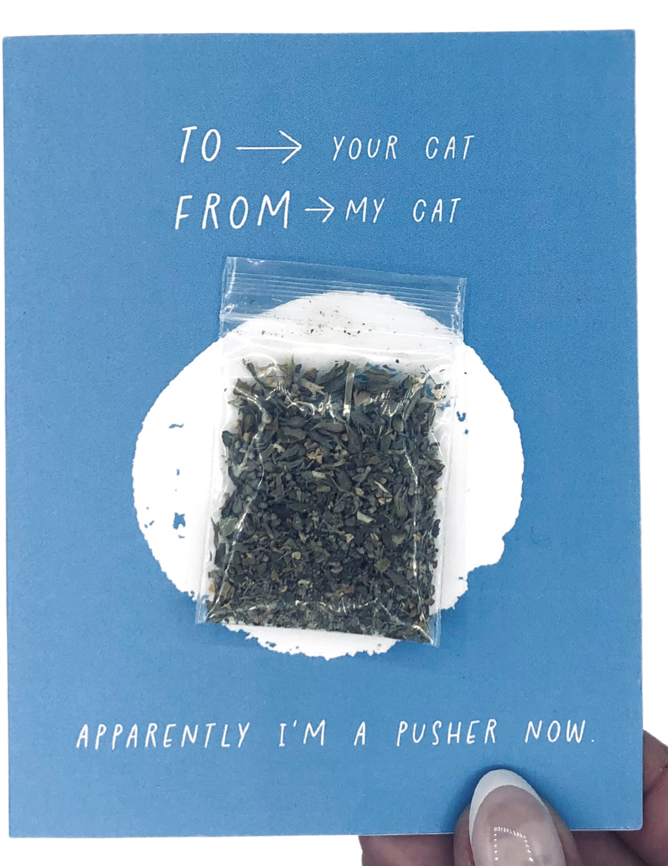 Pusher Catnip Card