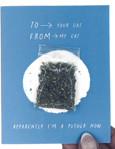 Pusher Catnip Card