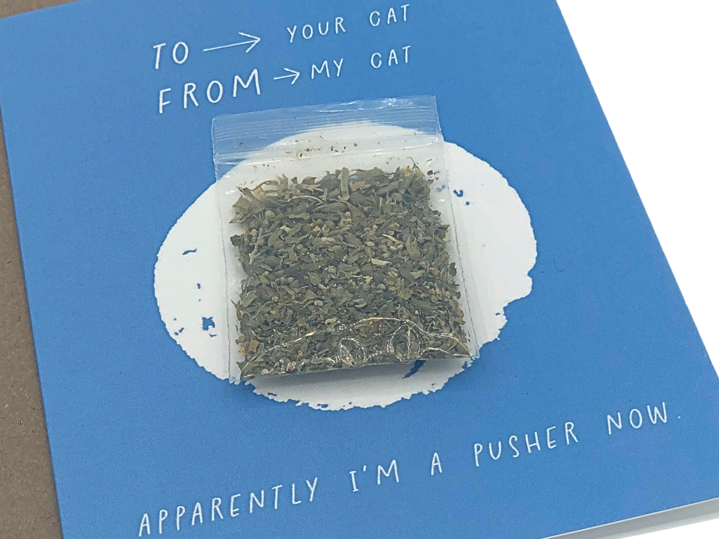 Pusher Catnip Card